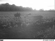 PICT0333