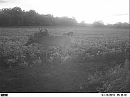 PICT0334