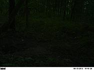 PICT0339