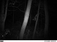 PICT0376