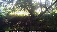 PICT1245