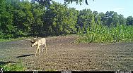 IMG 0102