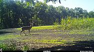 IMG 0955