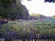 08300637
