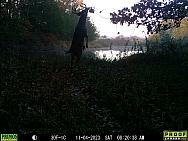 11040336