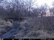 12190517