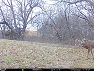 01020453