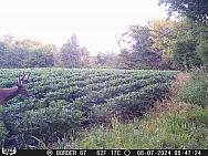 08070136