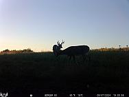 09070223