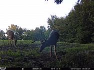 09070236