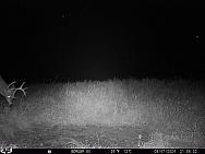 09070281