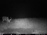 09080346