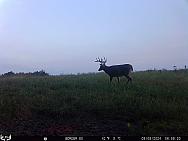 09080370