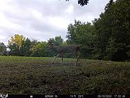 09130734