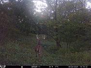09250224