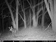11090984