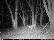 11280347