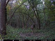 01030785