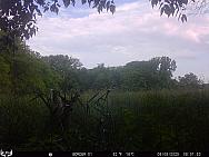 06080054