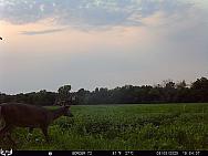 08050625