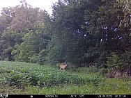 08060050