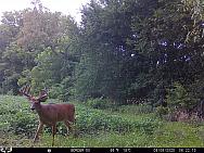 08060052
