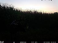 08130043
