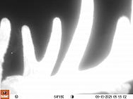 08130352
