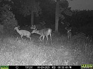 08200244