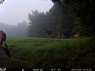 08210209