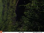 08250960