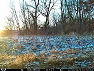 IMAG0570