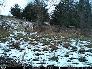IMAG0625