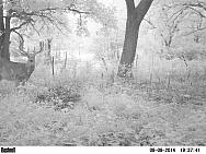 PICT0024