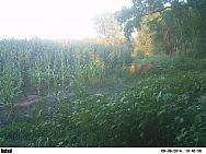 PICT0039