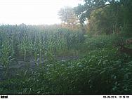 PICT0043