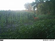 PICT0045