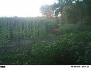 PICT0046