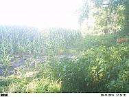 PICT0165 (2)