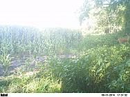 PICT0166 (2)