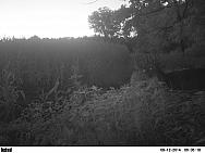 PICT0199