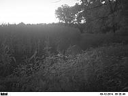 PICT0201