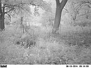PICT0240