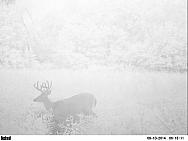 PICT0258