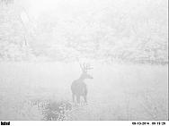 PICT0260