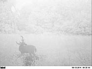 PICT0263