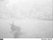 PICT0264