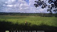 PICT0300