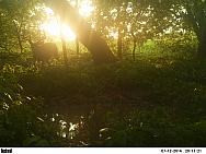 PICT0459