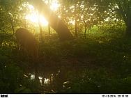 PICT0461